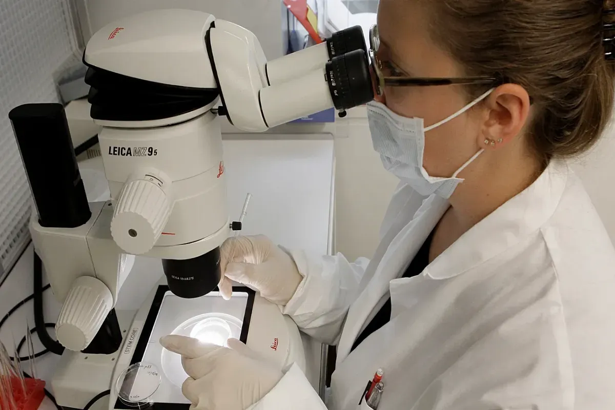 Stora medicinska framsteg i Europa